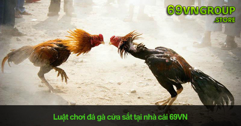 Luật chơi đá gà cửa sắt tại nhà cái 69VN